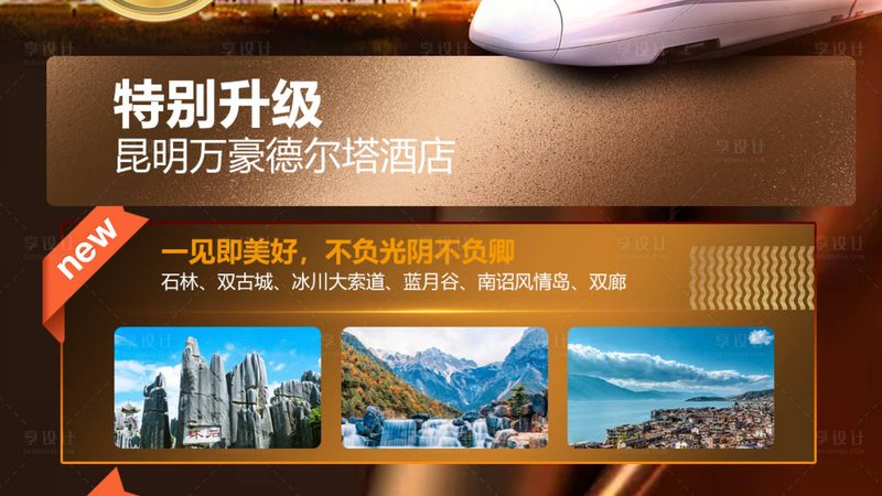 定制旅游与跟团游：安全性的多重考量